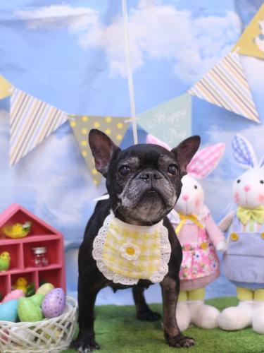 20240302さつきちゃん